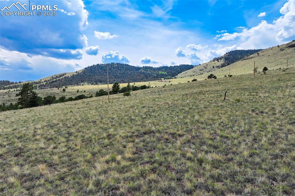 Image 26 of 50: View