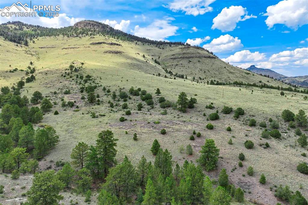 Image 34 of 50: View