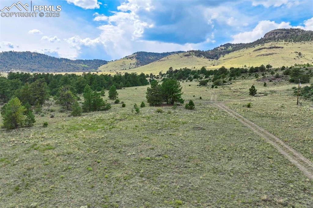 Image 38 of 50: View