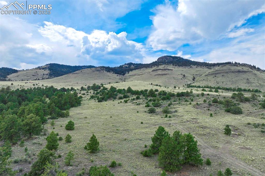 Image 41 of 50: View