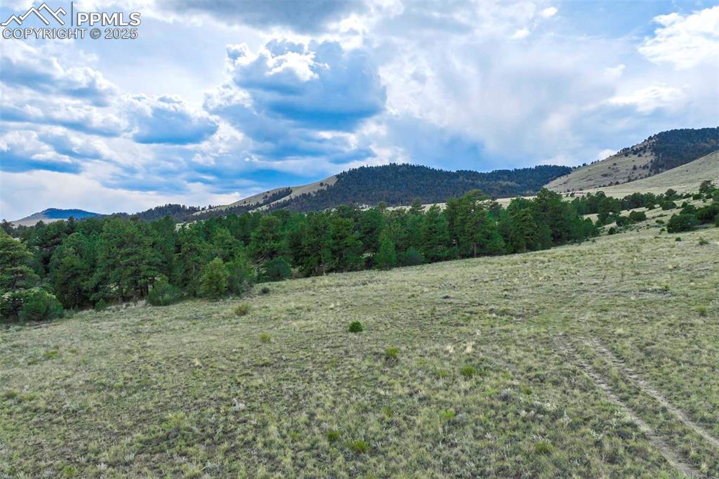 Image 45 of 50: View