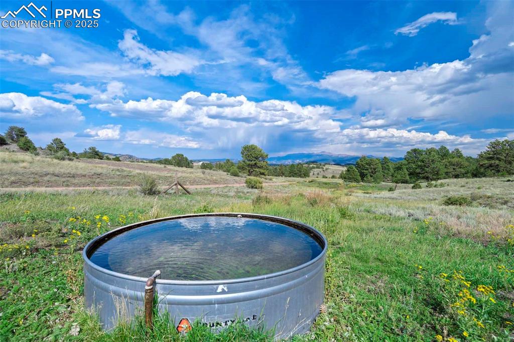 Image 48 of 50: Other