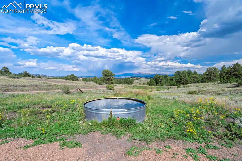 Image 49 of 50: Yard