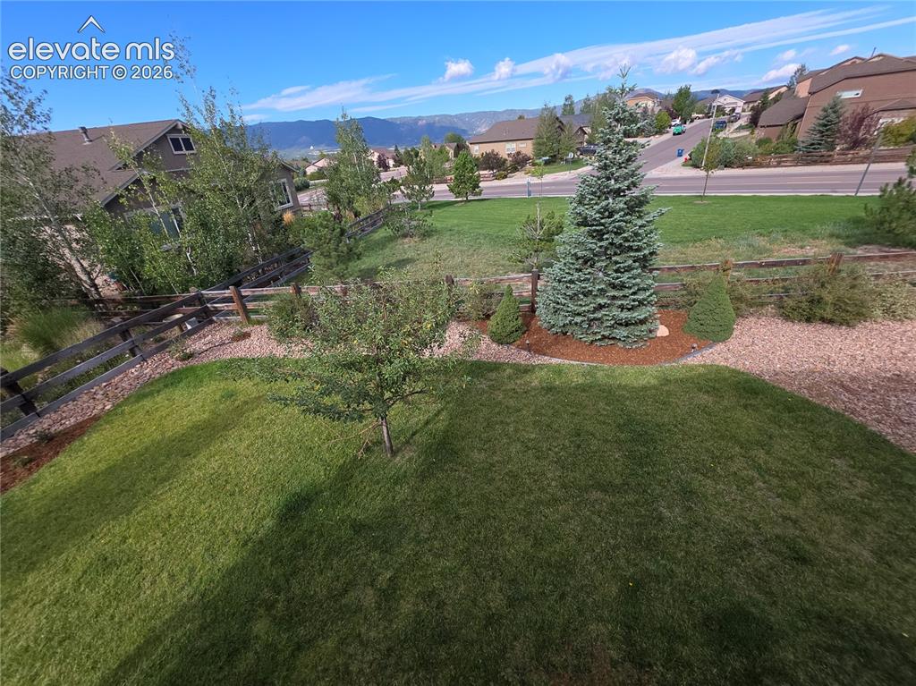 Image 8 of 49: Yard