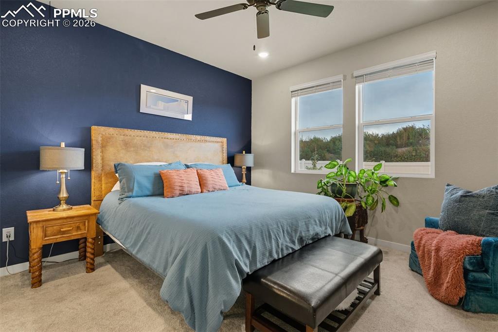 Image 22 of 37: No Description Available