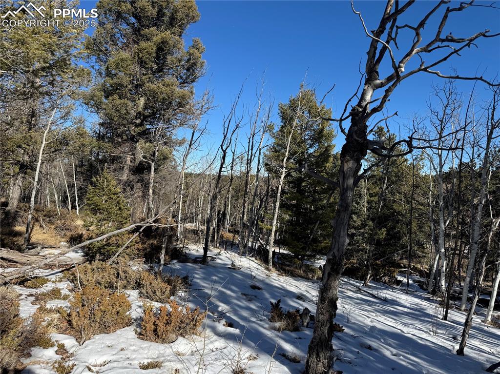 Image 11 of 27: No Description Available