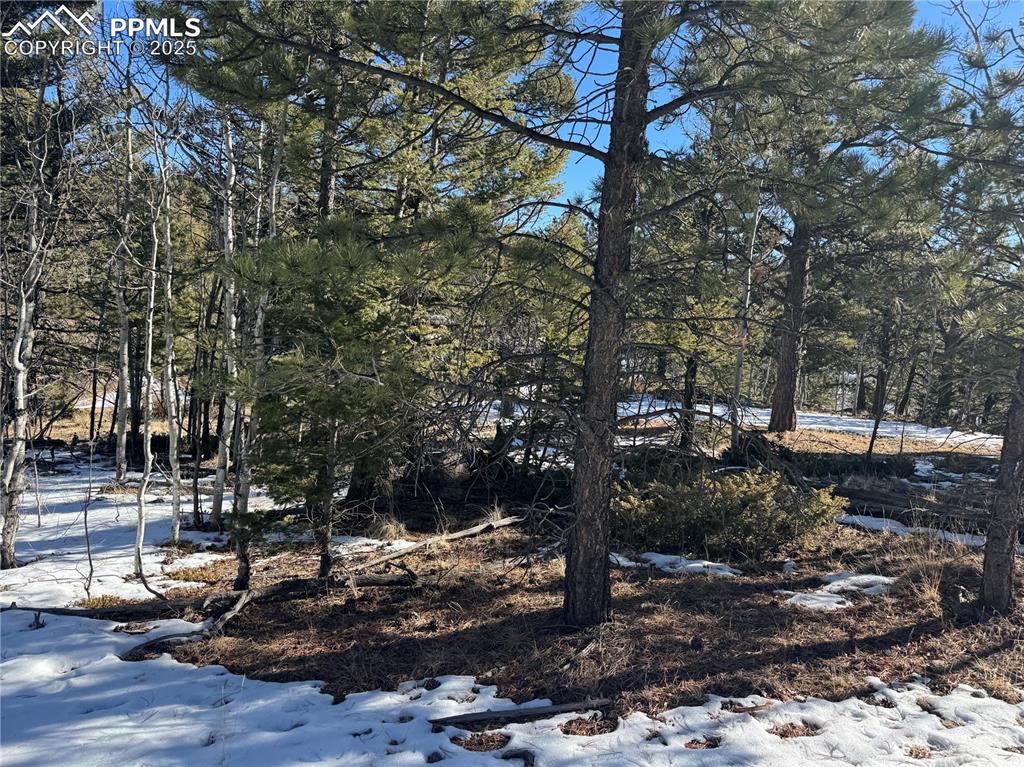 Image 12 of 27: No Description Available