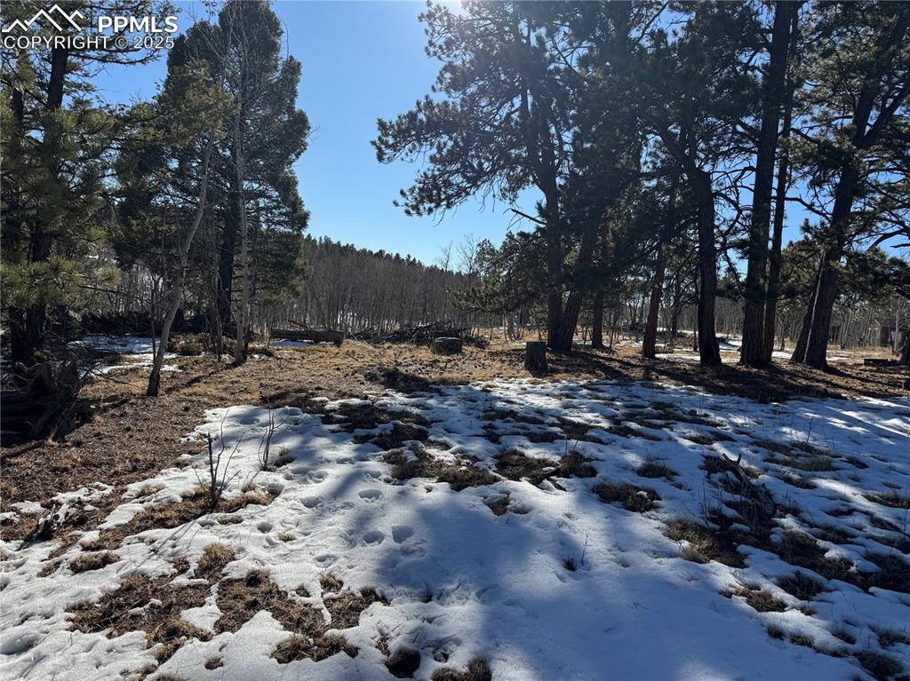 Image 13 of 27: No Description Available