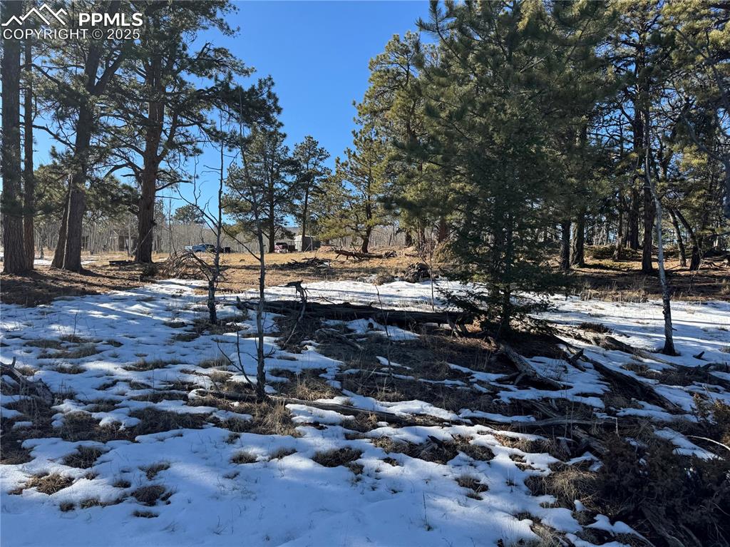 Image 14 of 27: No Description Available