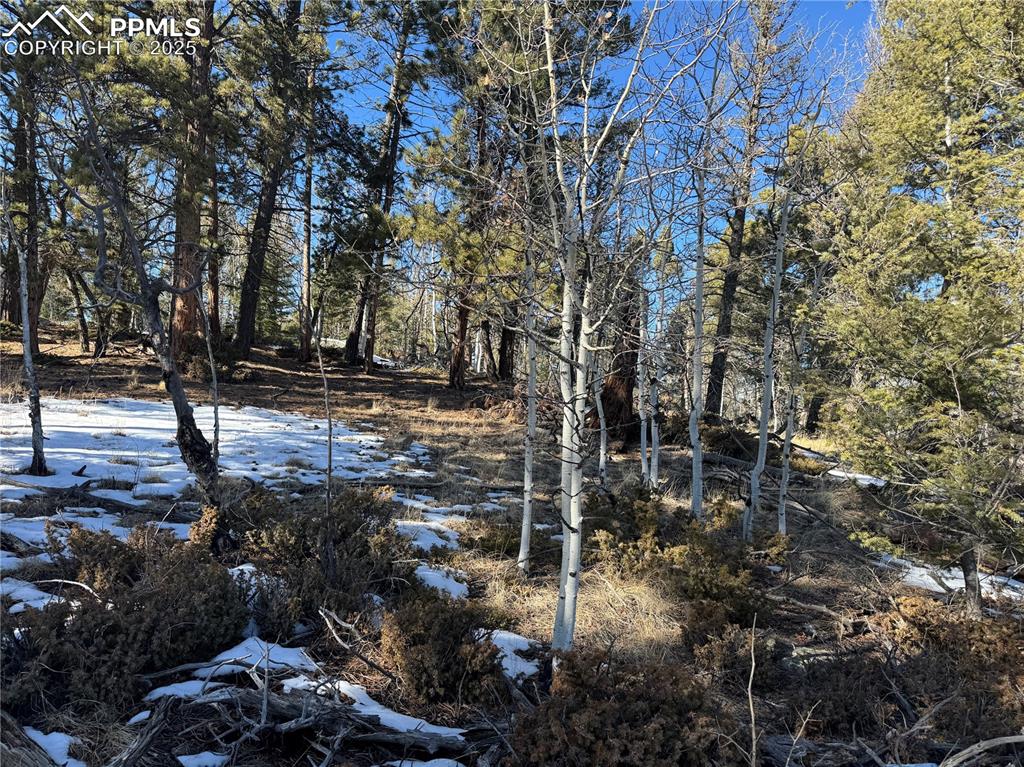 Image 15 of 27: No Description Available