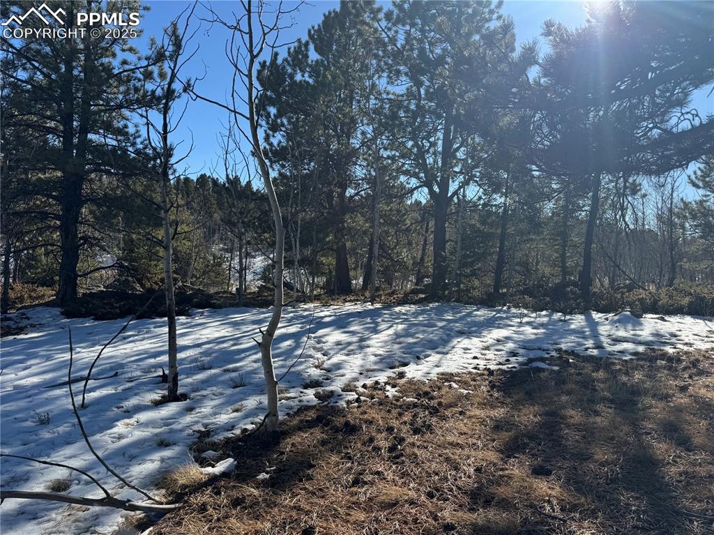 Image 17 of 27: No Description Available