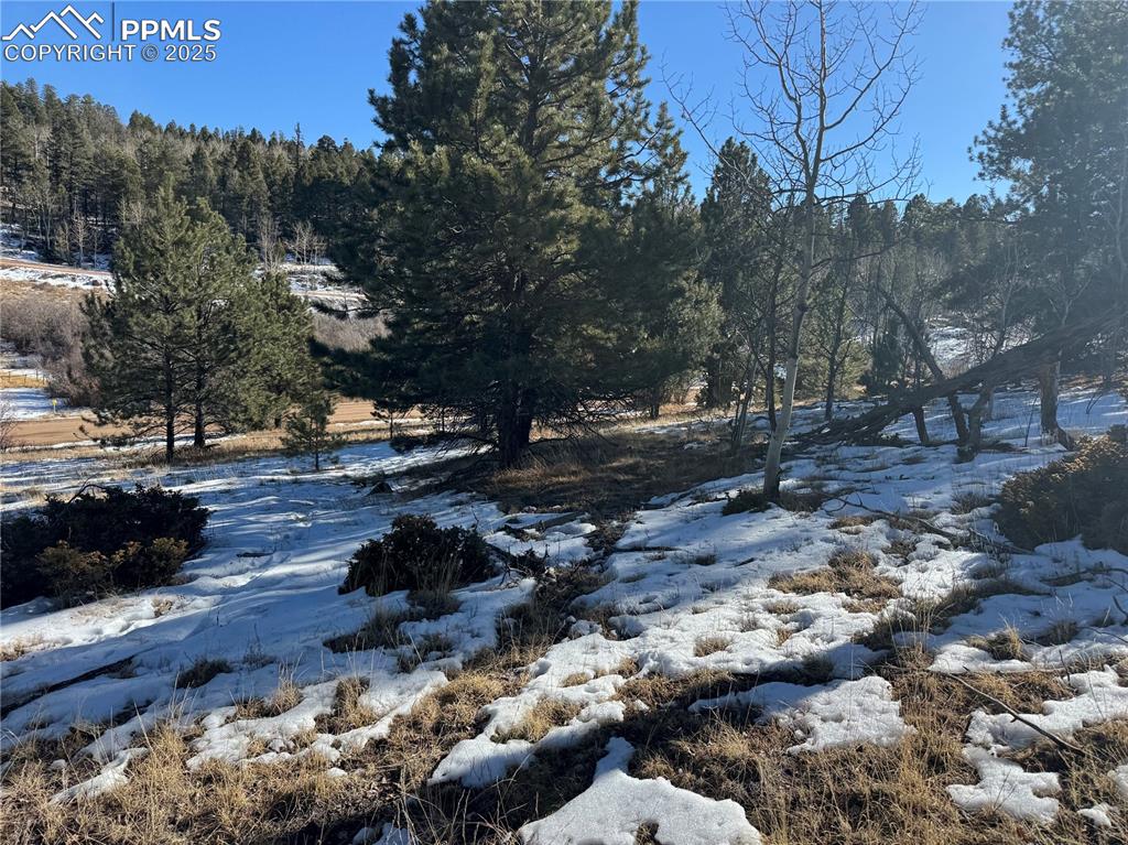 Image 19 of 27: No Description Available