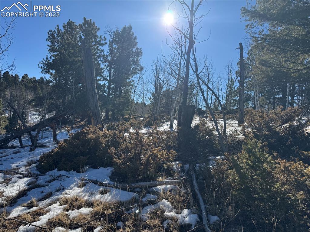 Image 20 of 27: No Description Available