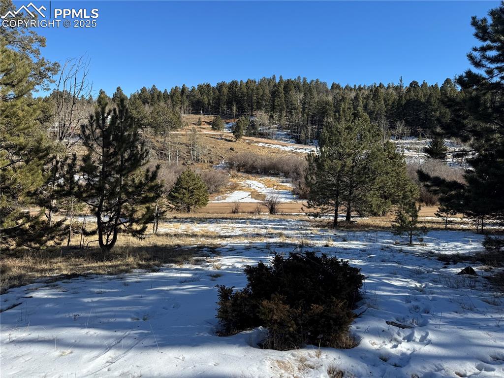 Image 21 of 27: No Description Available