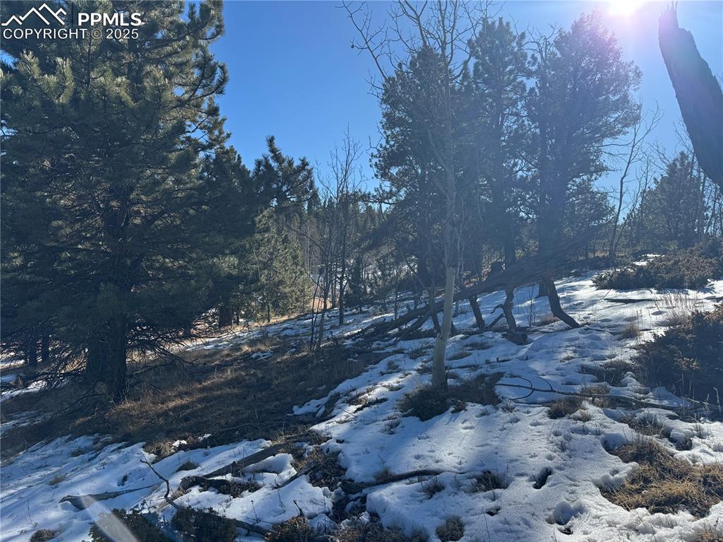 Image 22 of 27: No Description Available