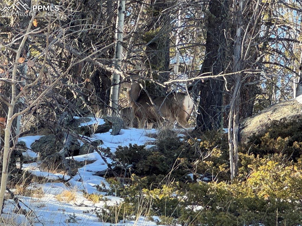 Image 23 of 27: No Description Available