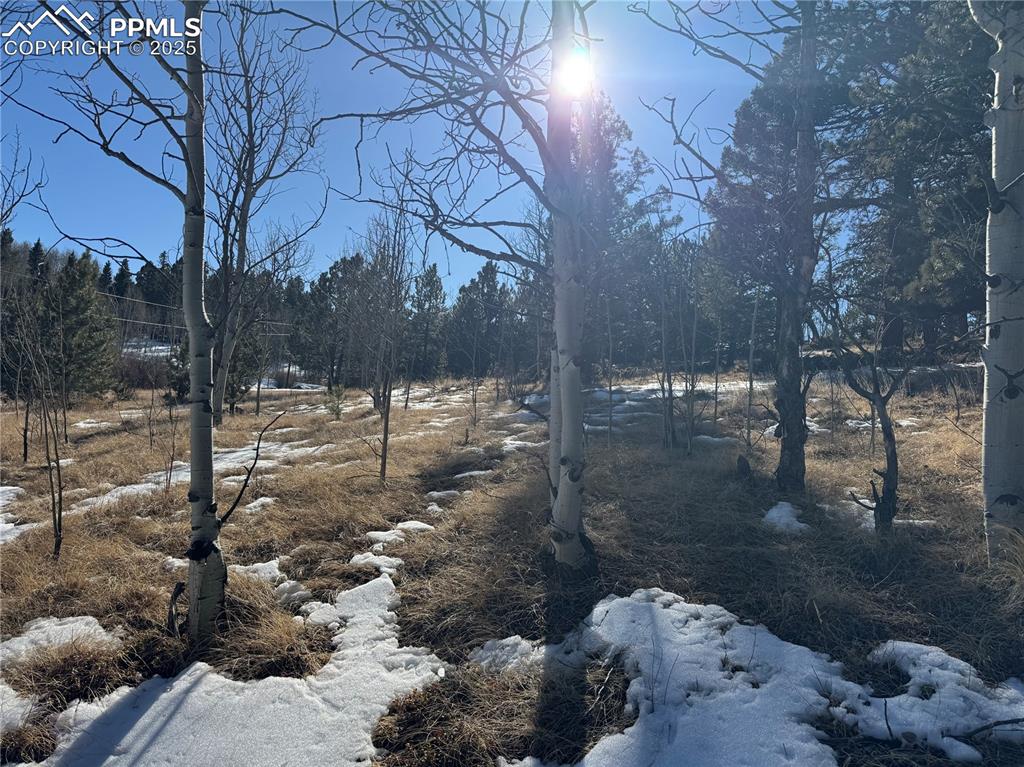 Image 24 of 27: No Description Available