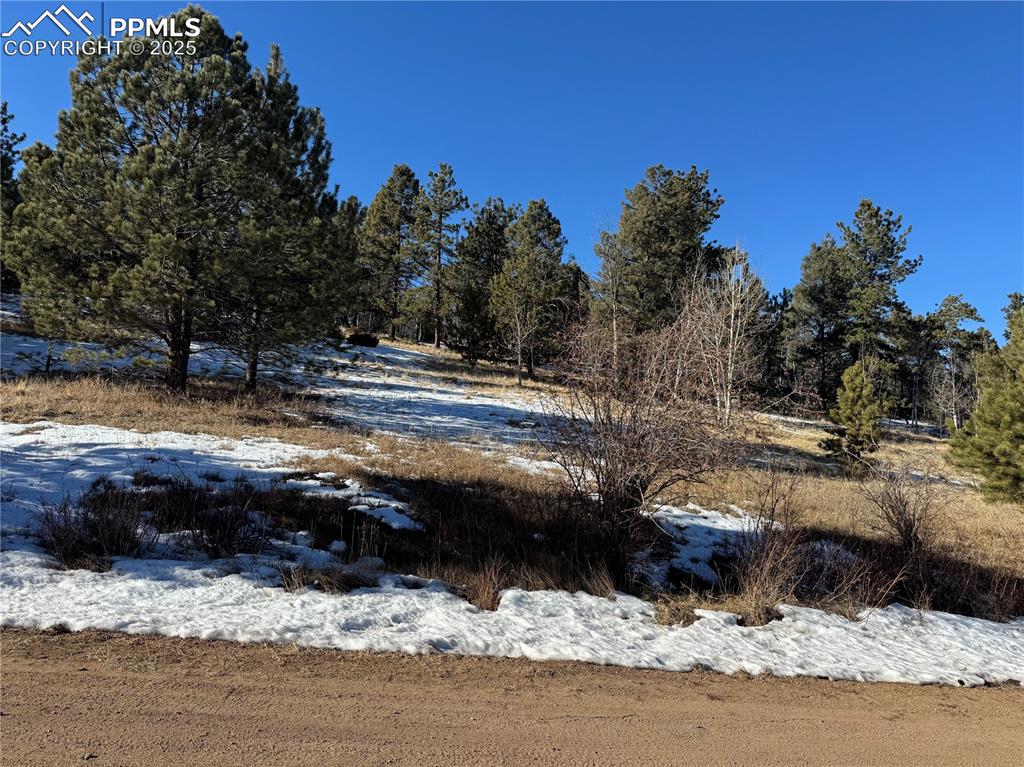 Image 26 of 27: No Description Available