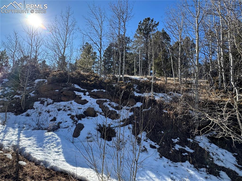 Image 27 of 27: No Description Available