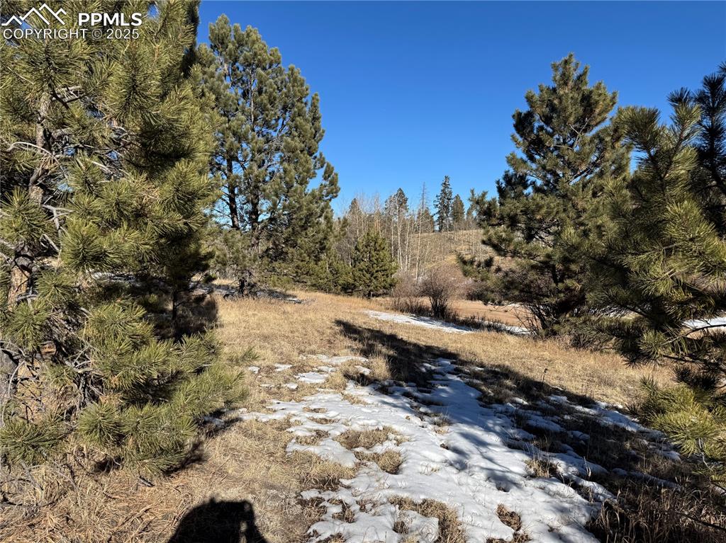 Image 4 of 27: No Description Available