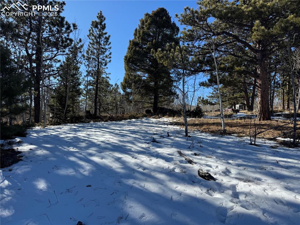 Image 8 of 27: No Description Available