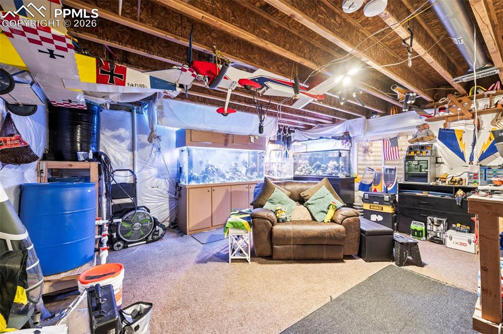 Image 33 of 48: Basement