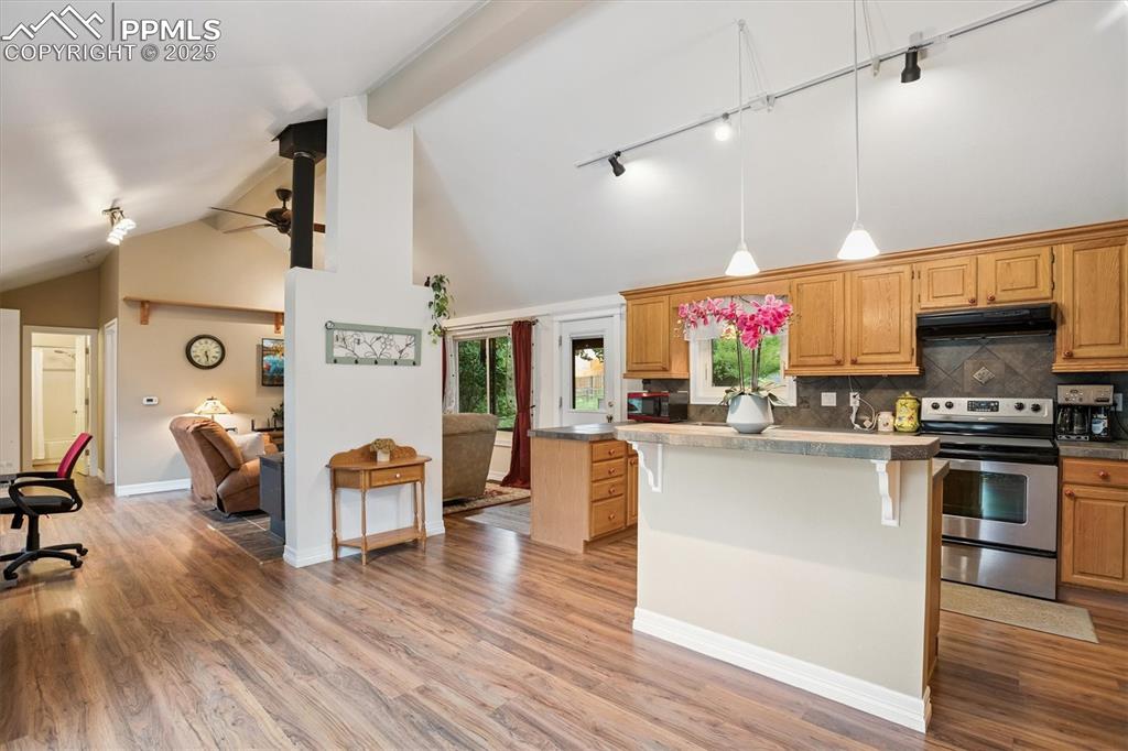 Image 4 of 22: Kitchen featuring stainless steel electric range, high vaulted ceiling, a b