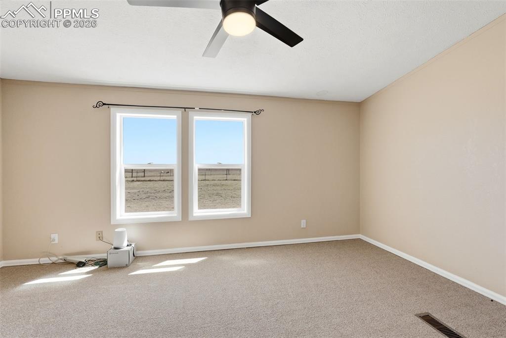 Image 31 of 50: Other