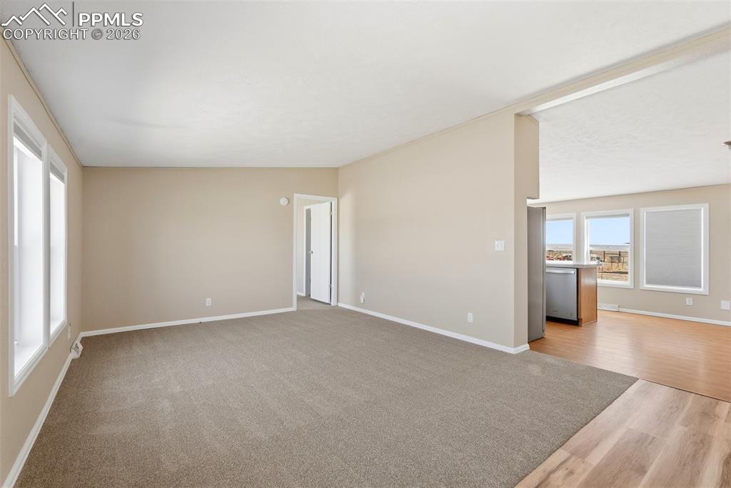 Image 4 of 50: Other