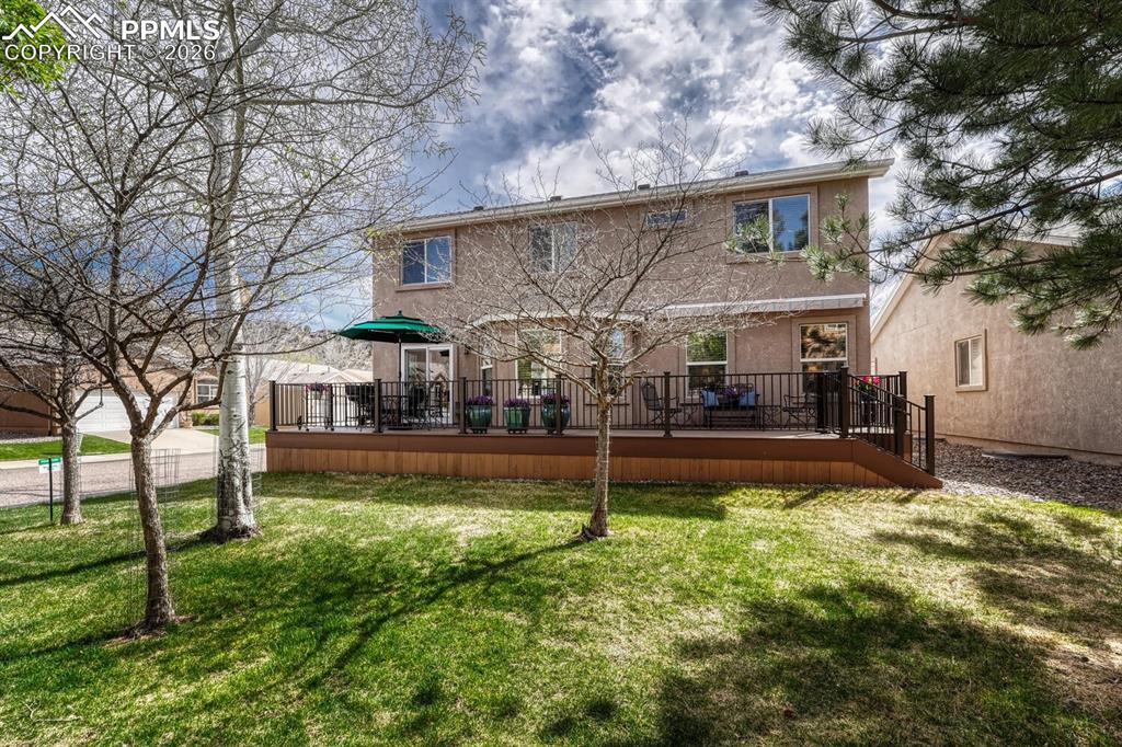 Image 42 of 50: Back of Structure