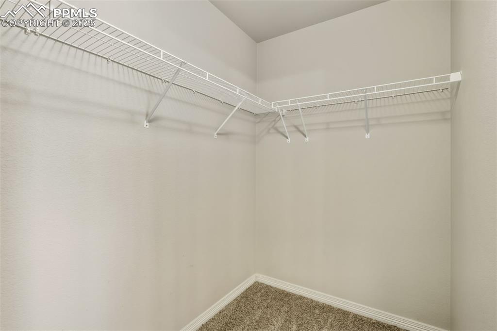Image 19 of 27: Spacious closet with carpet flooring