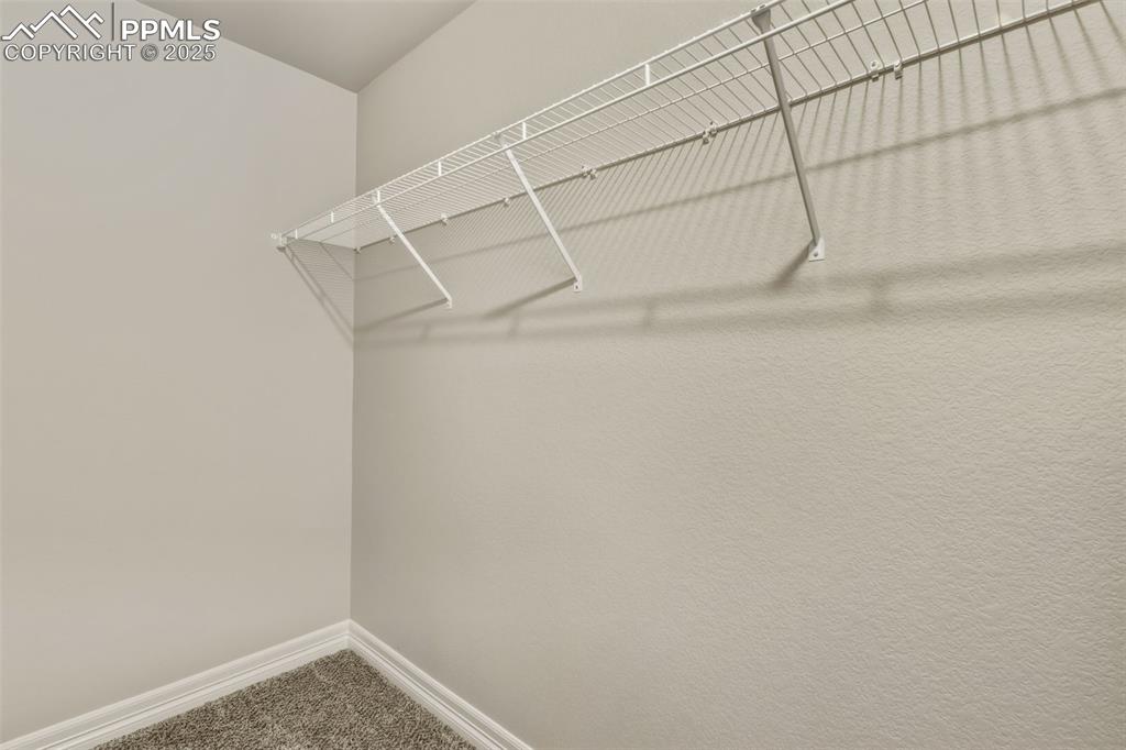 Image 21 of 27: Spacious closet with carpet flooring