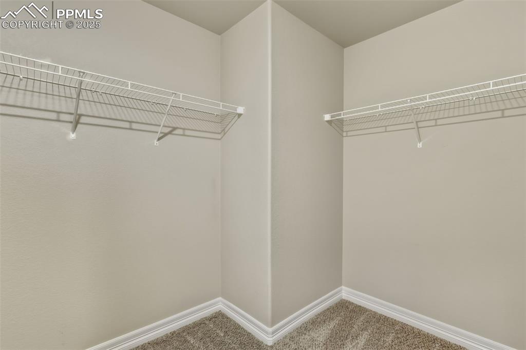 Image 23 of 27: Spacious closet with carpet flooring