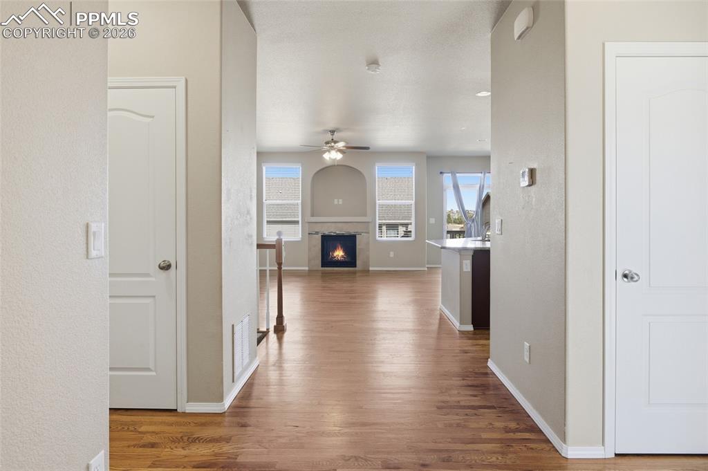 Image 4 of 34: Other