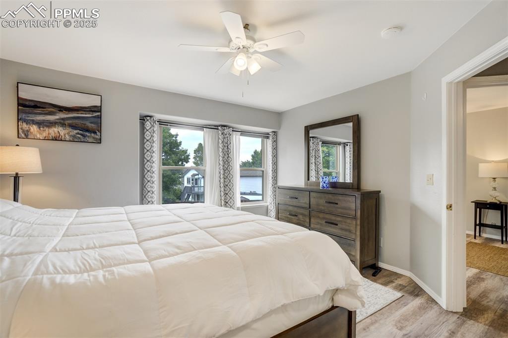 Image 15 of 36: Bedroom with light wood finished floors, multiple windows, and ceiling fan