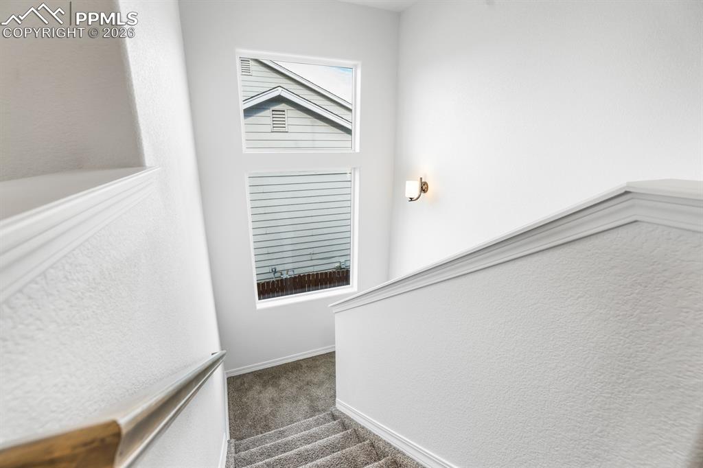 Image 40 of 49: Other