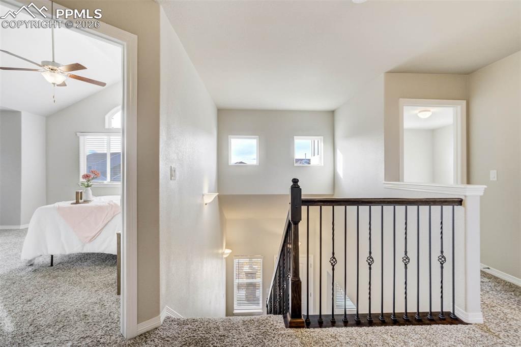 Image 17 of 50: Other