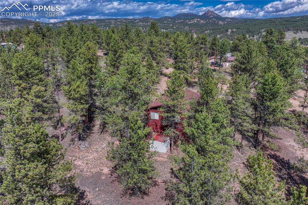 Image 39 of 41: aerial view of the backyard