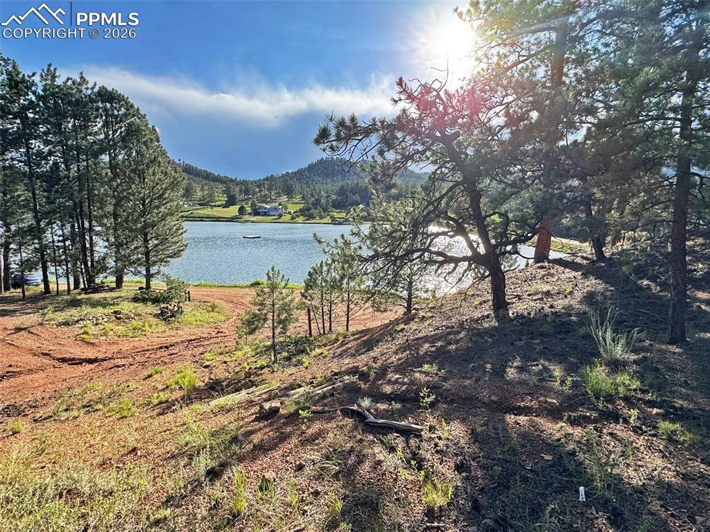 Caption: Water view with a heavily wooded area.