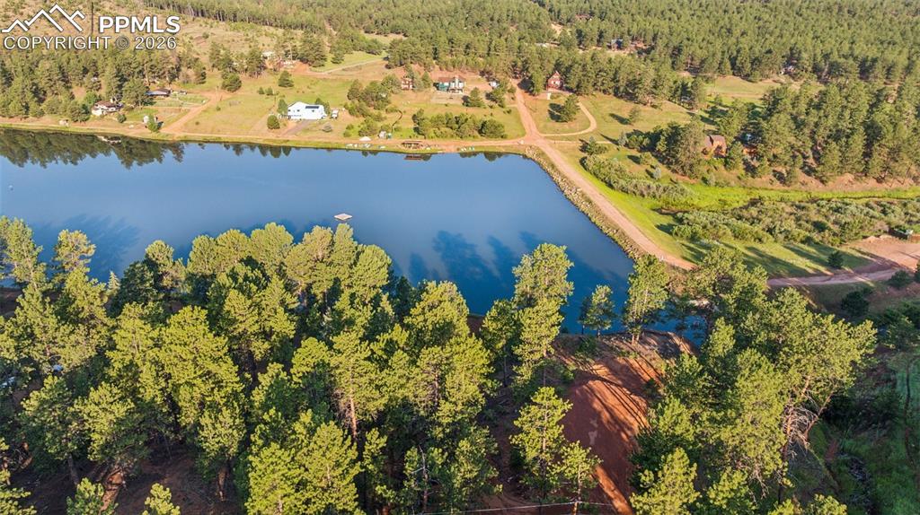 Image 15 of 26: Drone / aerial view of a forest and a nearby body of water