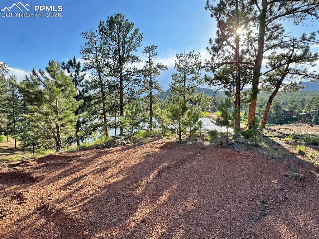 Image 19 of 26: Possible Build Site