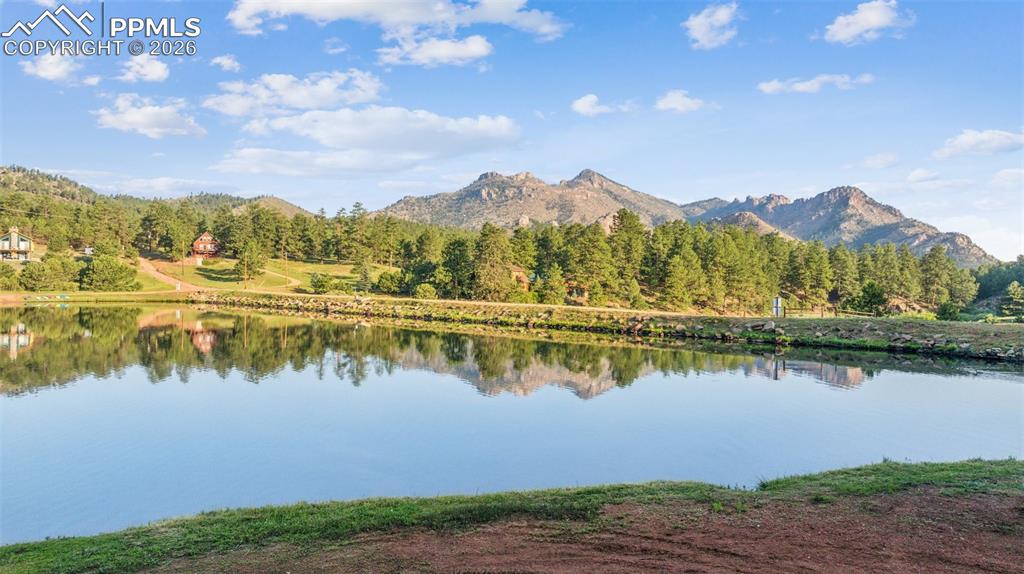 Image 3 of 26: Water view with a forest and a mountainous back ground