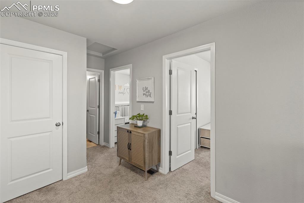 Image 31 of 50: Other