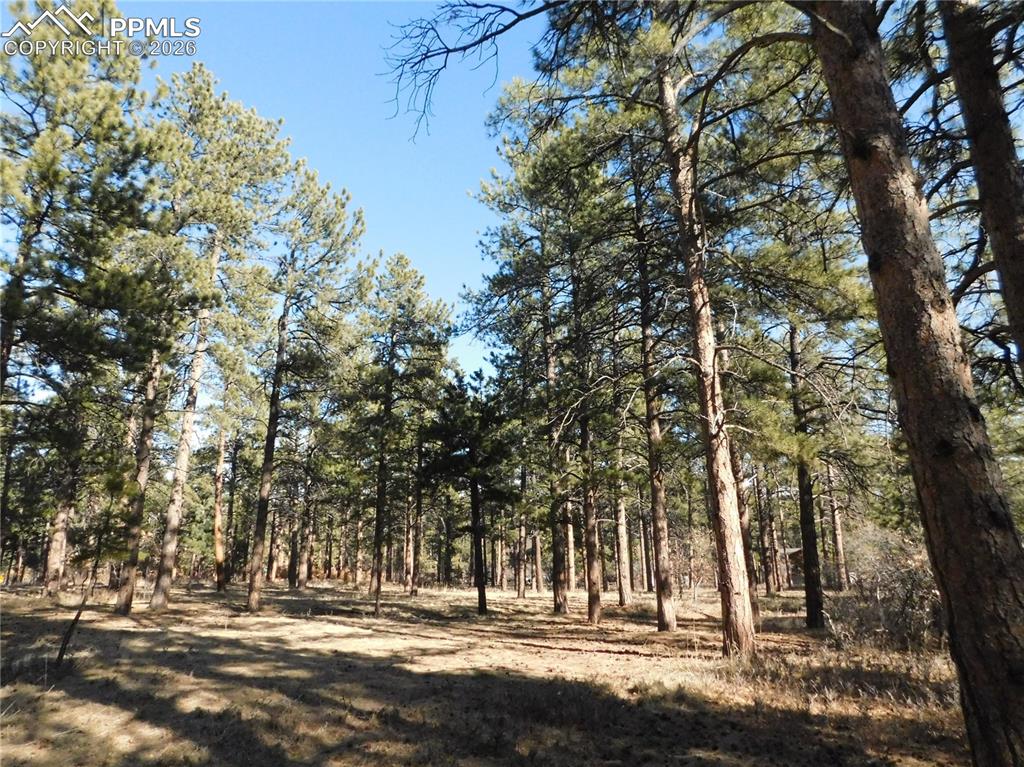 Image 12 of 27: No Description Available