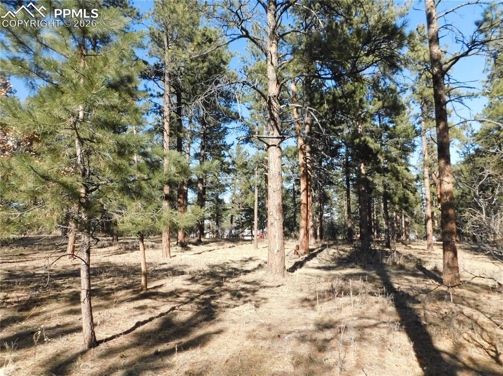 Image 13 of 27: No Description Available