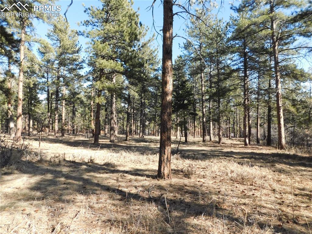 Image 15 of 27: No Description Available