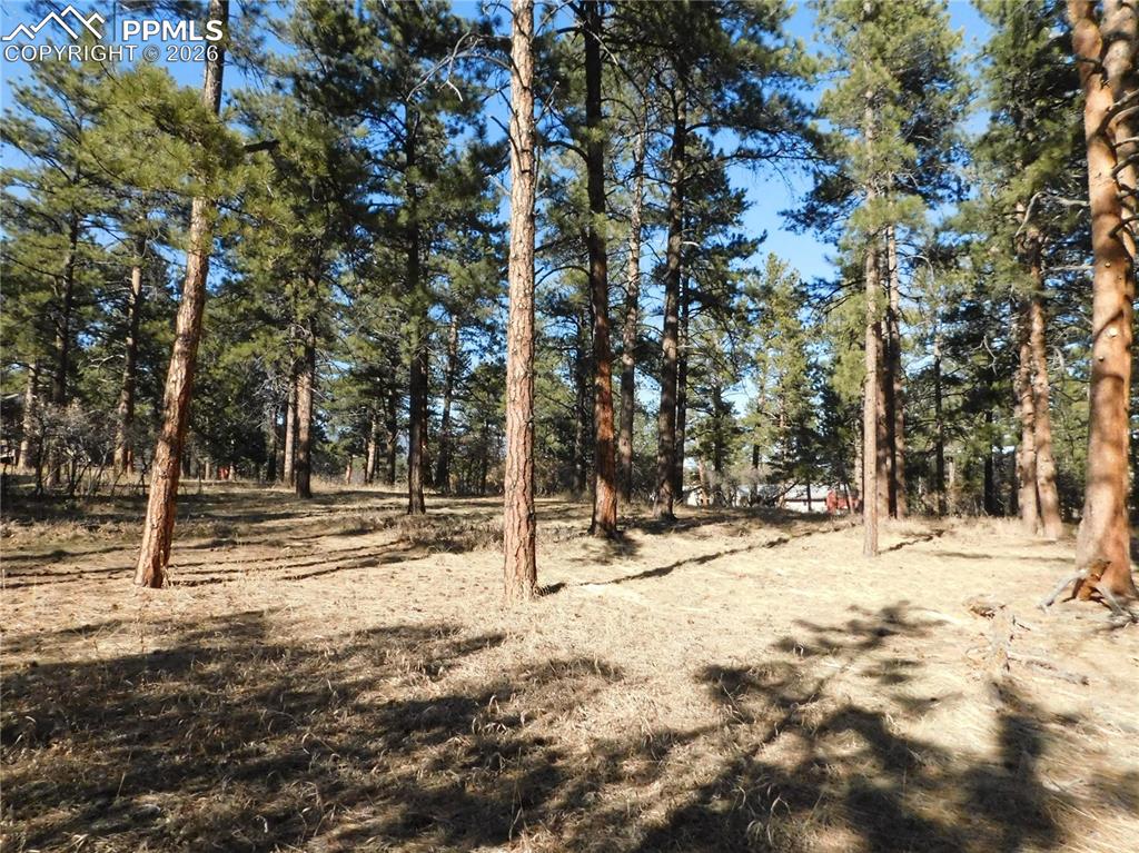 Image 16 of 27: No Description Available