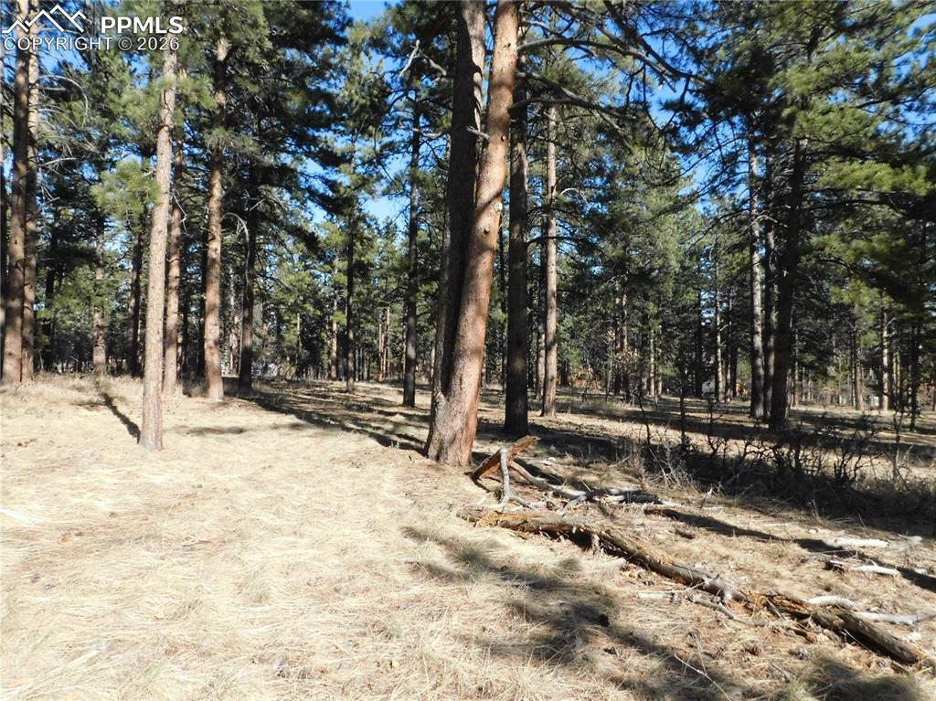 Image 17 of 27: No Description Available