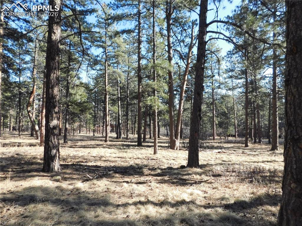 Image 20 of 27: No Description Available