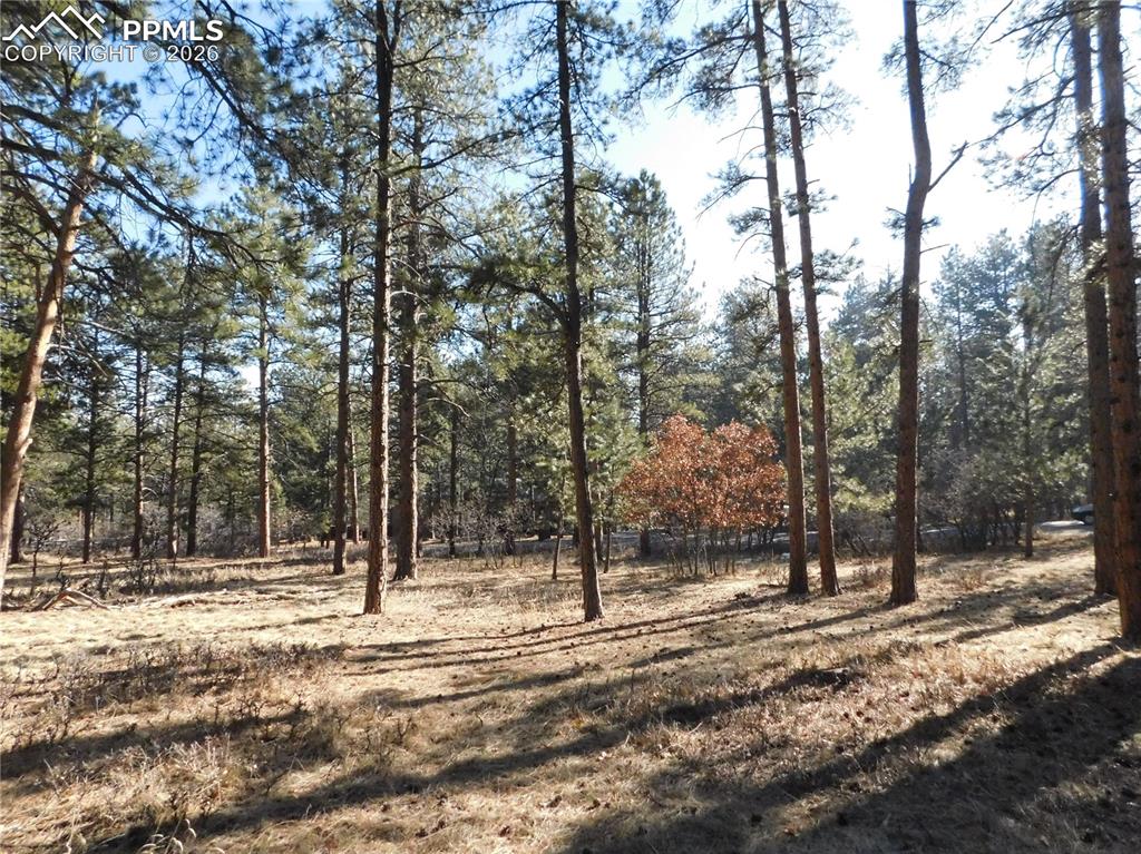 Image 21 of 27: No Description Available